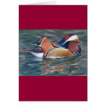 Nature's Palette cards