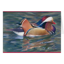 Nature's Palette Cards