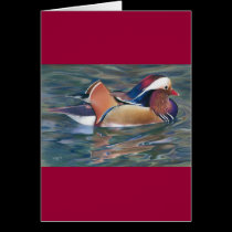 Nature's Palette cards