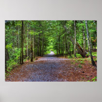 Natures Road Print