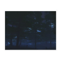 Nature's Secret Postcards