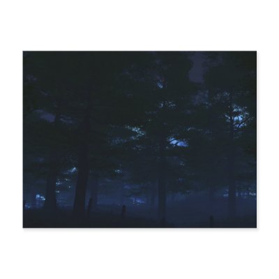Nature's Secret Postcards by 3dartwork