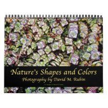 Nature's Shapes and Colors 2010 calendars