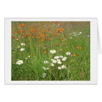 natures simplicity cards by jacien natures simplicity cards