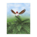 Nature's Skies Postcard by RonniLeigh Nature's Skies Postcard