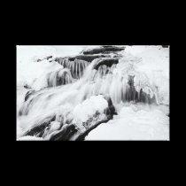 Natures Song canvas prints