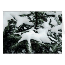 Nature's Stars Greeting Cards