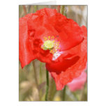 Nature's Symphony Poetry Card