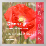 Nature's Symphony Poetry Poster Nature's Symphony Poetry Poster
