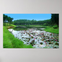 Nature's touch print
