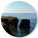 Nature's Treasure Button by CreatureCreations Nature's Treasure Button