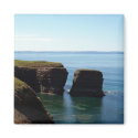 Nature's Treasure Magnet by CreatureCreations Nature's Treasure Magnet