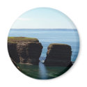 Nature's Treasure Magnet by CreatureCreations Nature's Treasure Magnet