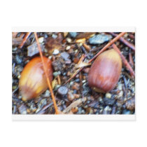 Nature's Treats postcards