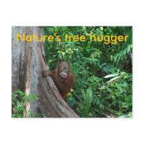 Nature's Tree Hugger postcard