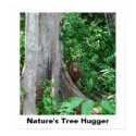 "Nature's Tree Hugger" poster posters by Rebecca_Reeder "Nature's Tree Hugger" poster posters