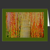Natures Veil cards