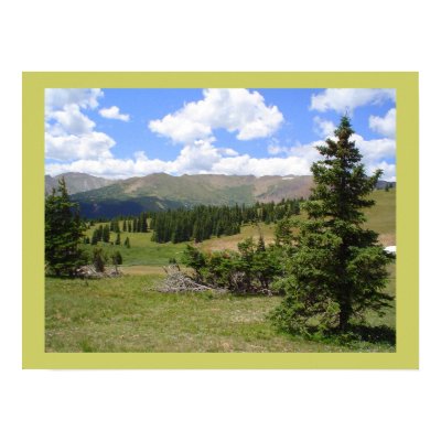 Natures View Print by razwear
