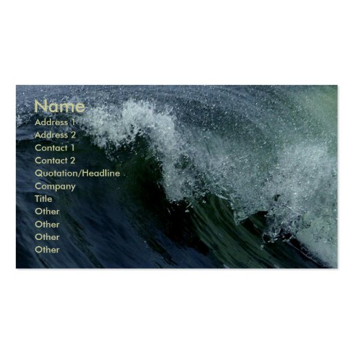Nature's Wave Business Card