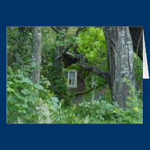Nature's Window cards by sumiko Nature's Window cards