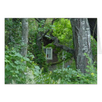 Nature's Window cards by sumiko Nature's Window cards
