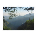 Nature's Window II postcards by sumiko Nature's Window II postcards