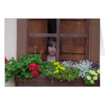 Nature's Window IV cards