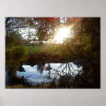 Natures Window Print