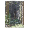 Nature's Window V cards by sumiko Nature's Window V cards