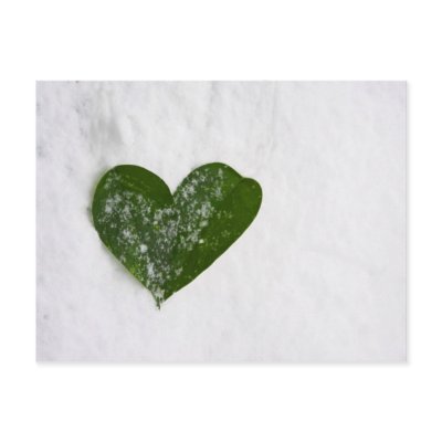 Nature's Winter Snow Romantic Heart of Love Postcard