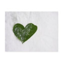 Nature's Winter Snow Romantic Heart of Love postcards by KahunaLuna Nature's Winter Snow Romantic Heart of Love postcards