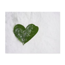 Nature's Winter Snow Romantic Heart of Love postcards by KahunaLuna Nature's Winter Snow Romantic Heart of Love postcards