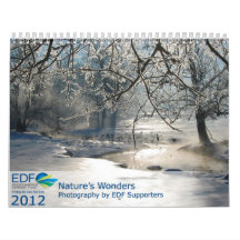 Nature's Wonder 2012 Wall Calendar