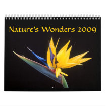 Nature's Wonders 2009 calendars