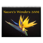 Nature's Wonders 2009 Calendars