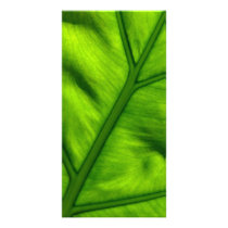Nature's Work Card