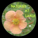 Naturist at large stickers by CHOLOEPUS Naturist at large stickers