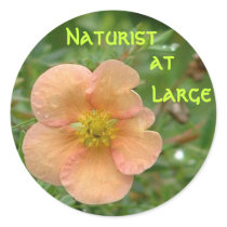 Naturist at large stickers by CHOLOEPUS Naturist at large stickers