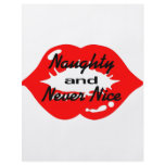 Naughty And Never Nice Full Color Flyer