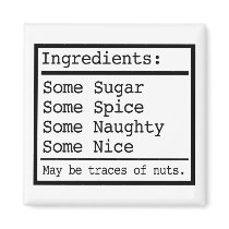 Naughty and Nice Gifts magnets