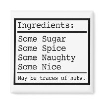 Naughty and Nice Gifts magnets by naughtytees Naughty and Nice Gifts magnets