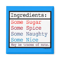 Naughty and Nice Magnet magnets