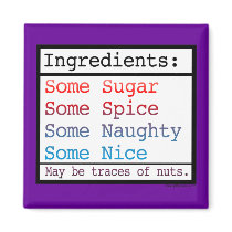 Naughty and Nice magnets