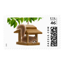 Naughty Bird Feeder Squirrel Postage