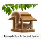 Naughty Birdfeeder Squirrel Poster Naughty Birdfeeder Squirrel Poster