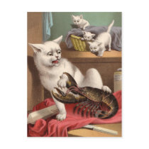 Naughty cats & lobster postcard