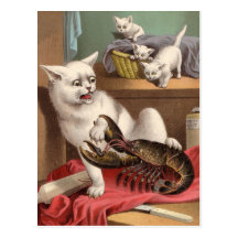 Naughty cats & lobster postcard