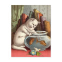 Naughty Cats postcards