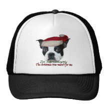 Naughty dog mesh hats