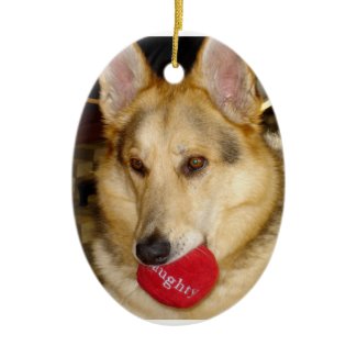 Naughty Dog Ornament ornament